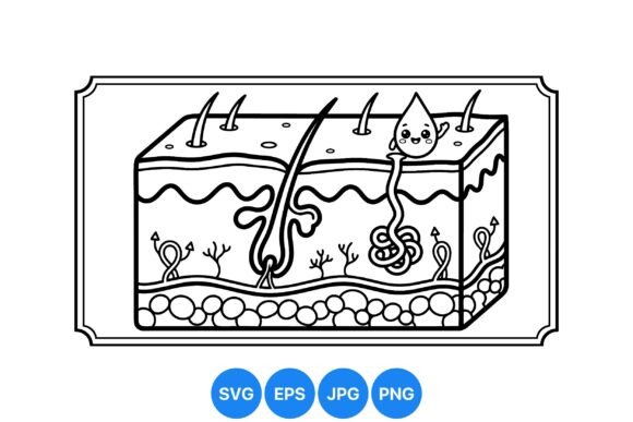 Download Skin Anatomy Educational Diagram - Cat Collection
